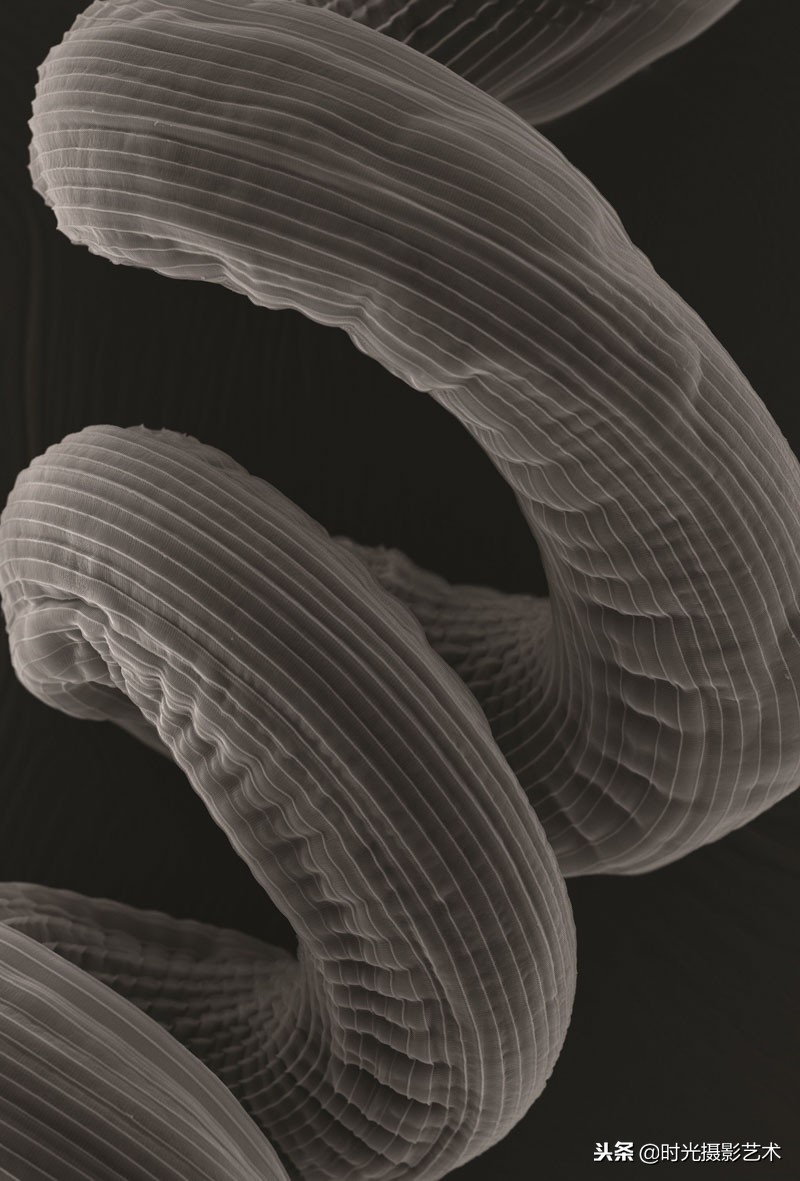 欣赏国际摄影大师作品,英国皇家天文摄影大赛