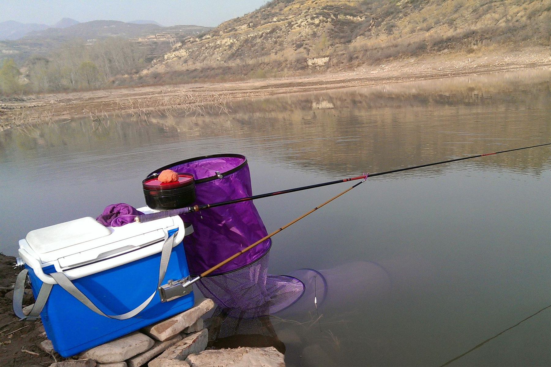 钓鱼小药蛋奶的作用,钓鱼小药布丁作用