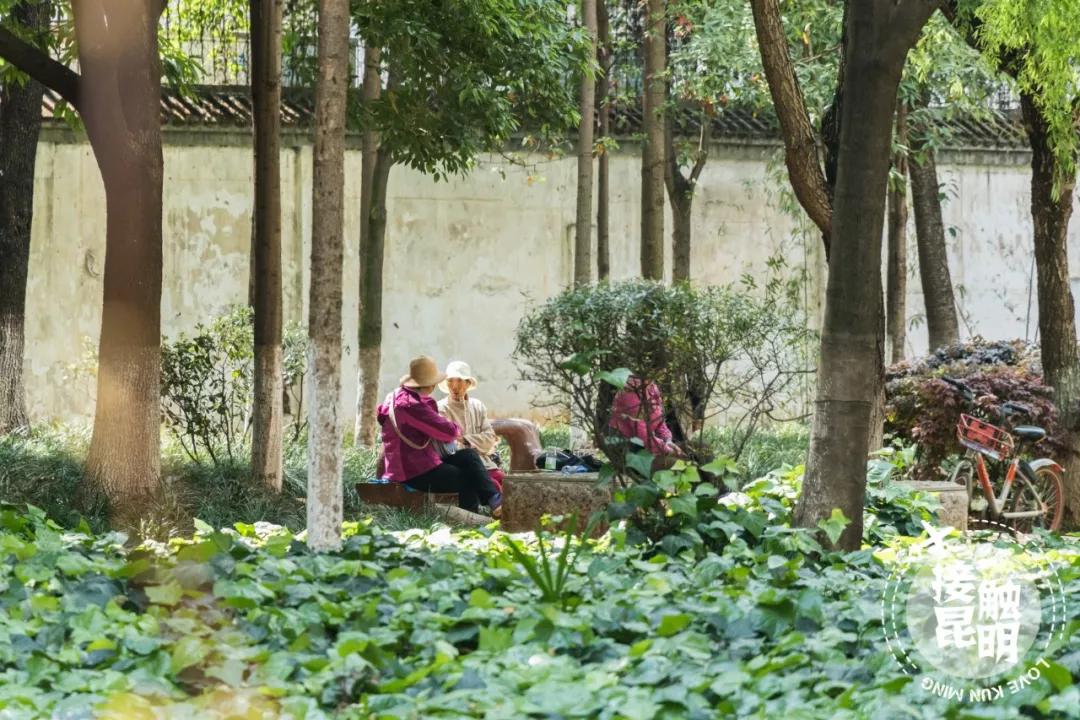 想在昆明定居,想在昆明找份好点的工作