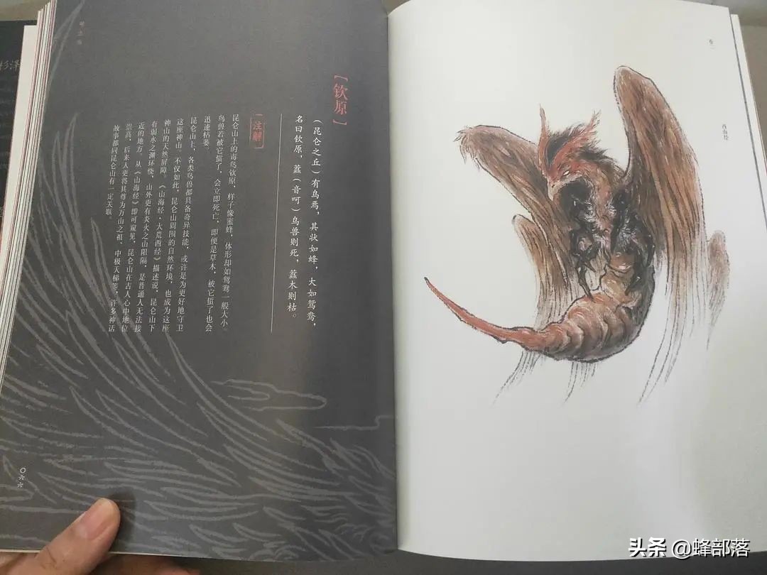 山海经毒蜂钦原,山海经里面的钦原