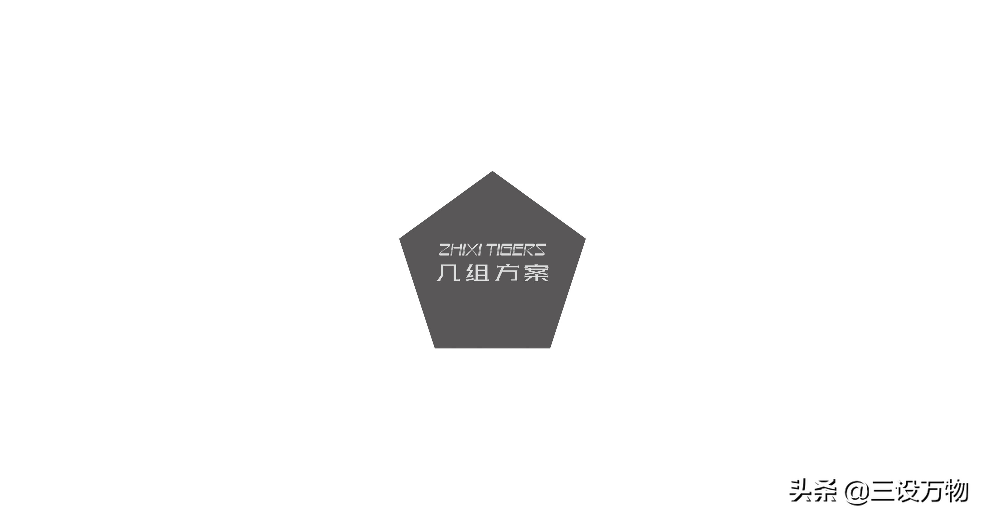 三设万物|ZHIXITIGERS足球俱乐部形象设计