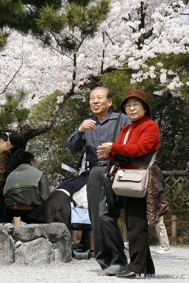 待到山花烂漫时完整版,待到樱花烂漫时的视频