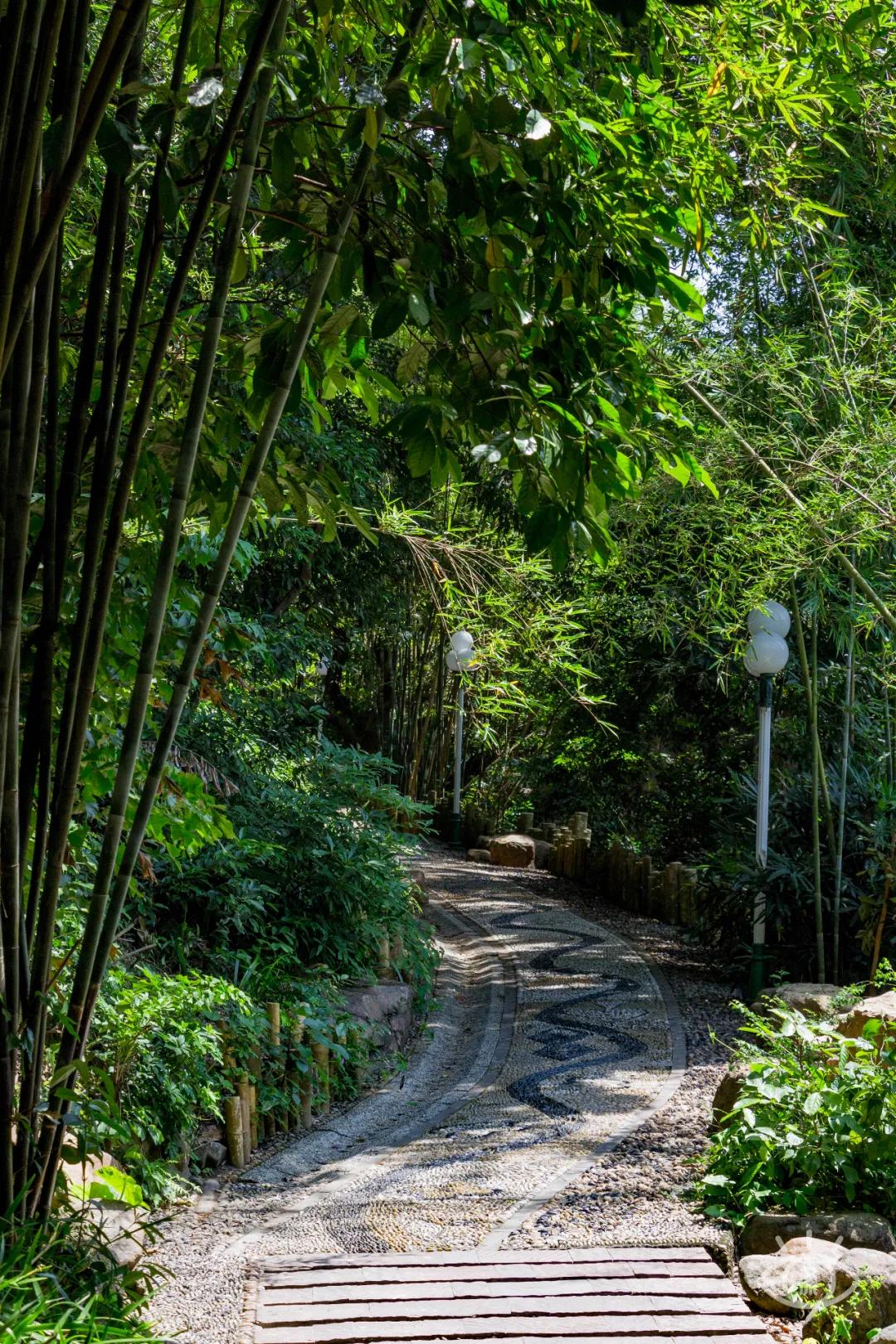 重庆轨道3号线,贵阳地铁3号线