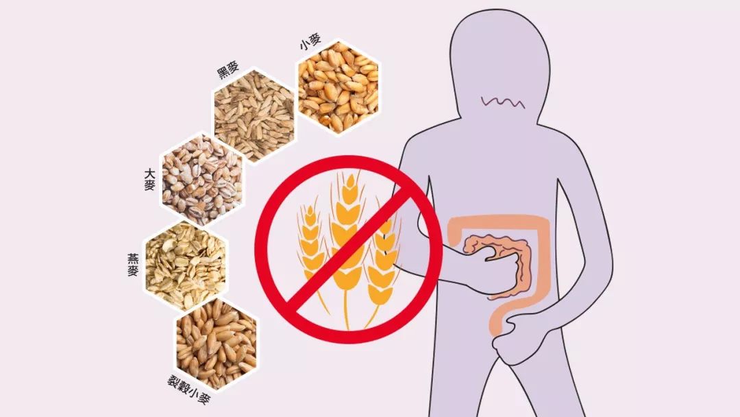 菌群问题,过敏与肠道菌群失调有关吗