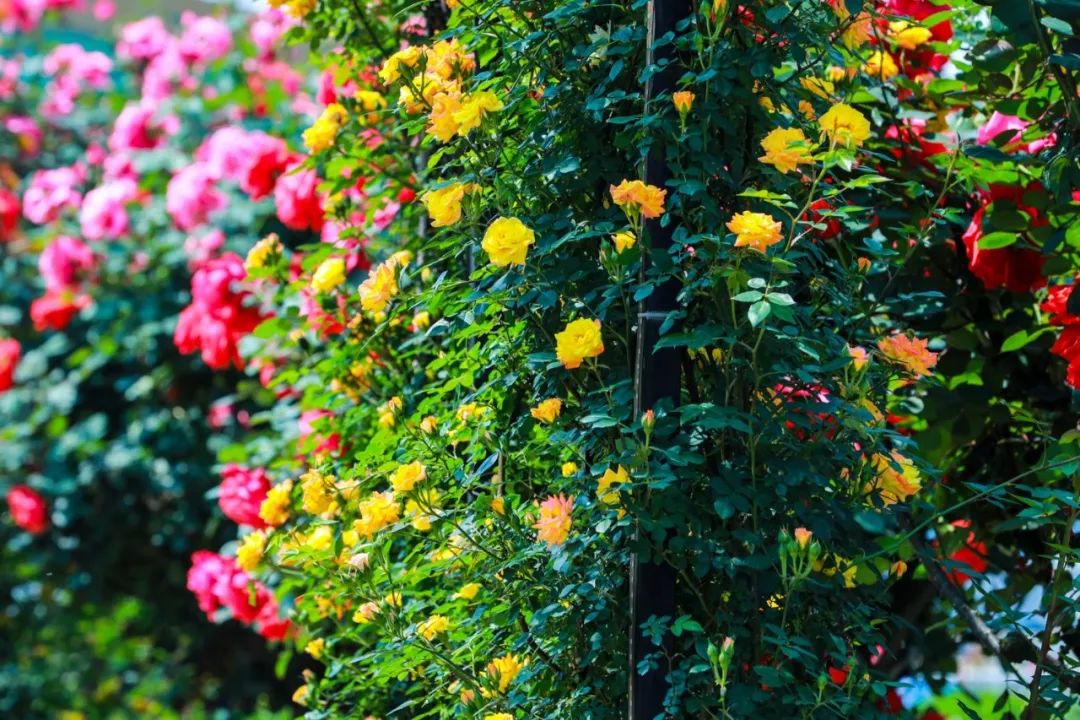 家在北仑,我有一个家北仑