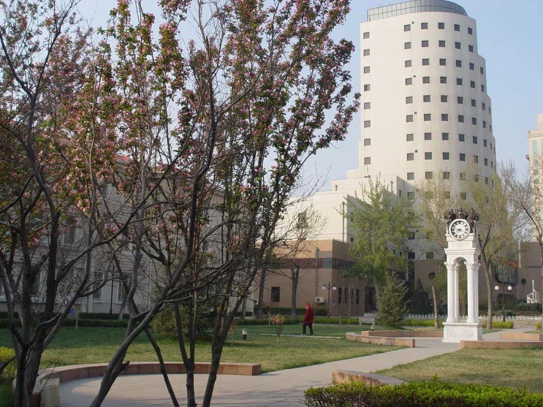 11大音乐学院的强势专业,九大音乐学院最新排名有名的专业