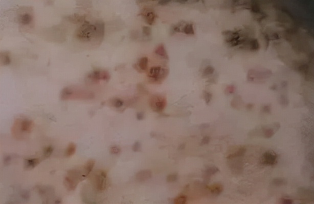 猫狗皮肤病有哪些类型,宠物常见皮肤病有哪些症状