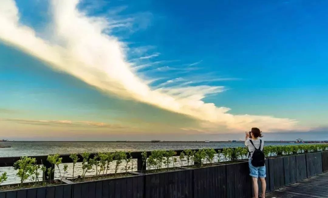 魔都春季游玩,魔都泡汤指南来啦