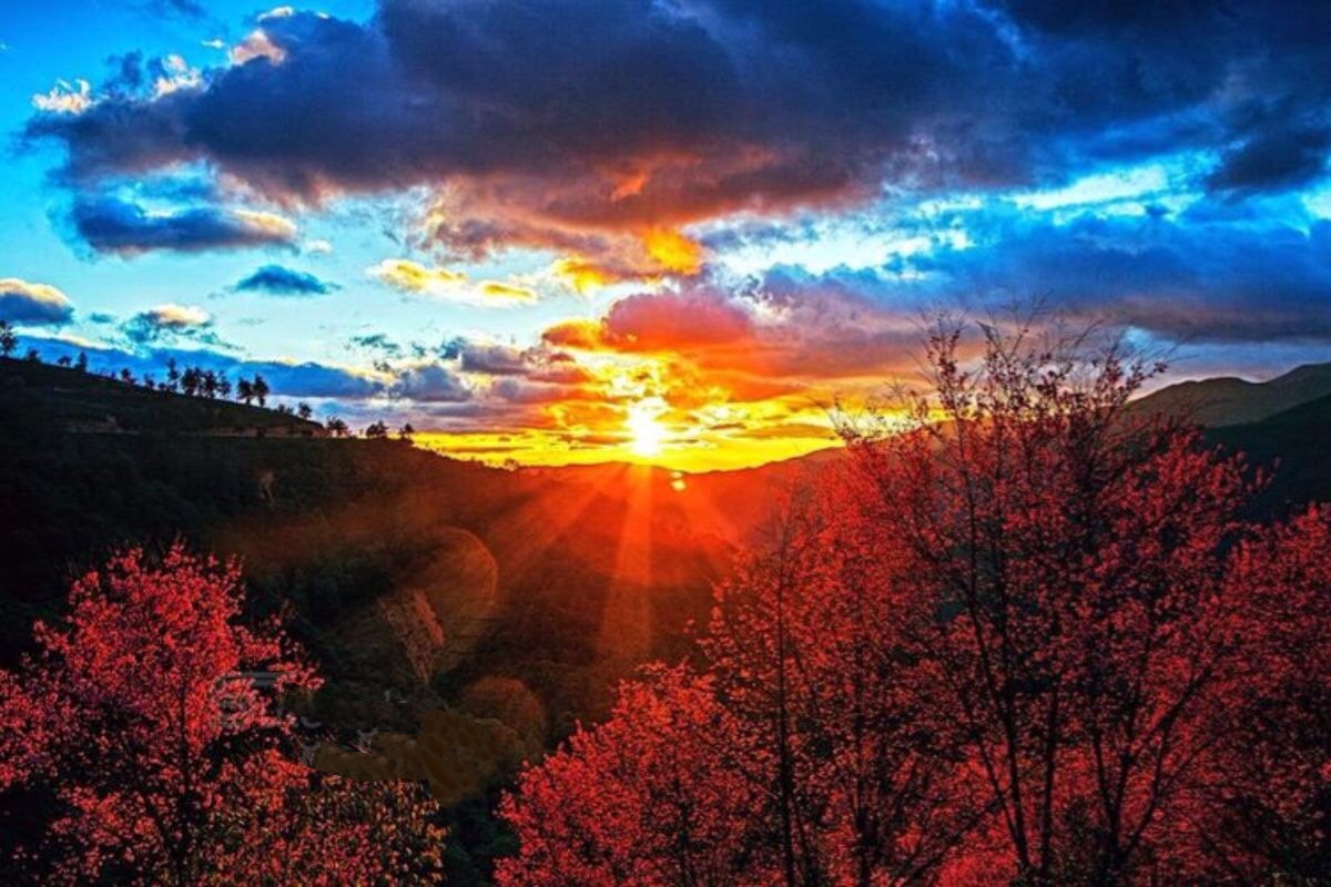 庐山十大避暑山排名,庐山最美的峰