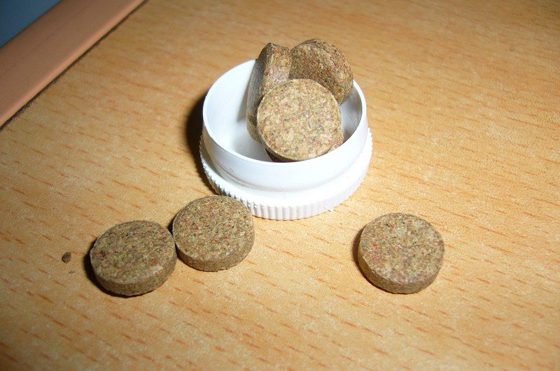 鼠鱼饲料推荐,鼠鱼推荐放什么植物