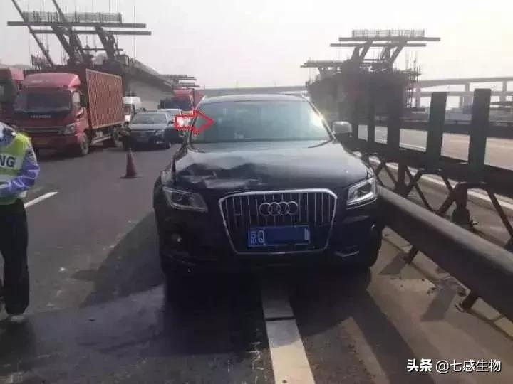 车都压扁了孩子却没事，有娃的家长们都应该学习这些知识