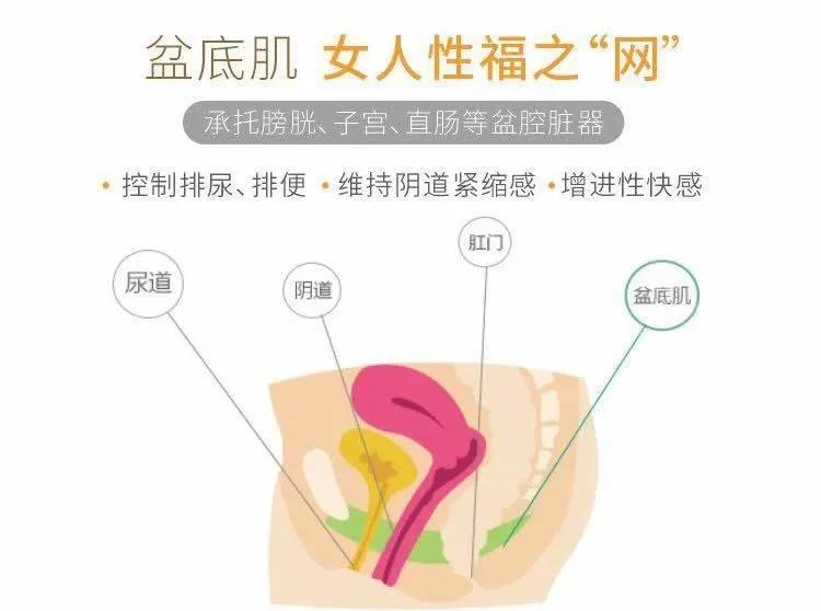 产后别只顾着形体恢复,做好这个最重要