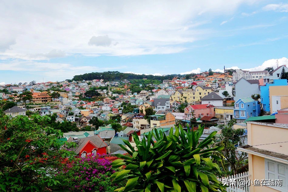 越南旅游签证最新政策,2023年越南旅游签证好办吗