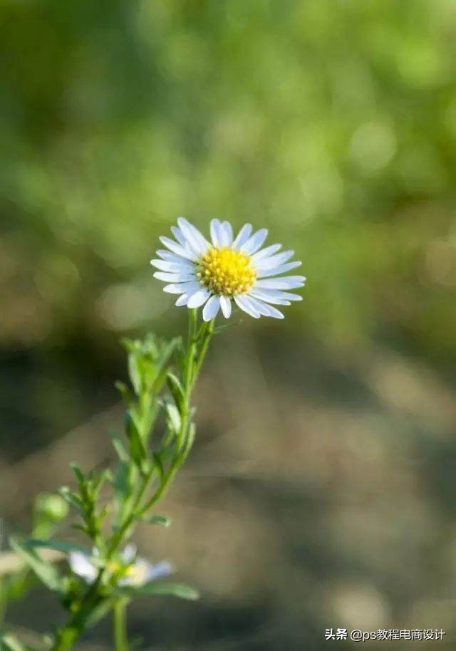 快速抠图ps人物头发,2021版ps快速抠图