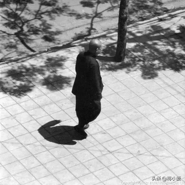 60年代新西兰,六十年代新西兰