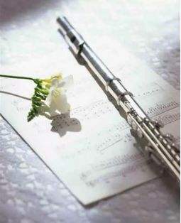 女孩子适合学习什么乐器,6岁女孩子学的乐器排行榜