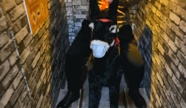 换装实景密室,换装密室