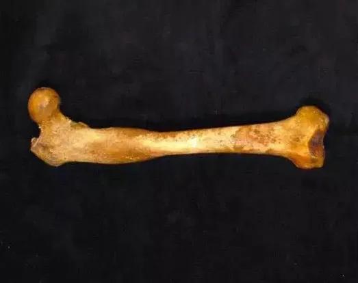 书写横画在字的不同位置技法,横字的笔画教学