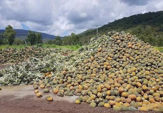 澳洲彻底惹恼中国买家,当地特产没人买单,澳洲人这次甩锅给谁?