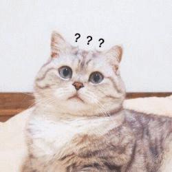 认识兴安盟，让你梦想北方的雪国