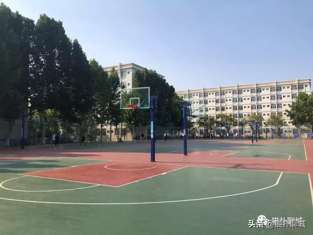 山东聊城室外篮球场,聊城篮球野球场