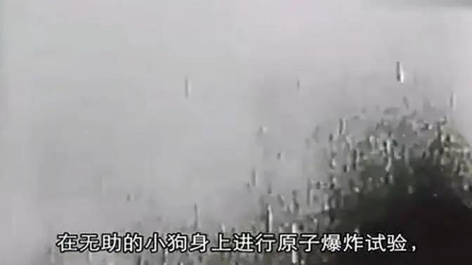 总统喊你来看片，这波硬核安利我吃了