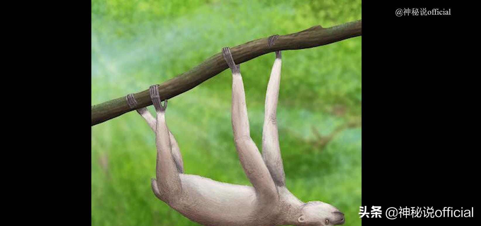 土耳其公布的“UFO视频”,外星人打开舱门移动,可信度有多少?