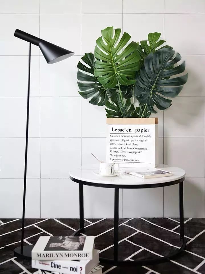 室内盆栽植物吸甲醛易活推荐,有助睡眠植物盆栽除甲醛