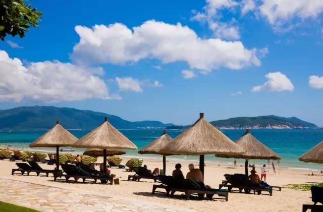 下川岛小帕劳,广东小帕劳