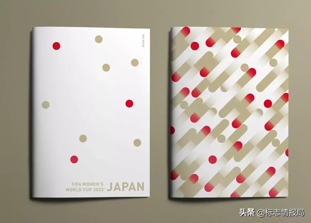 申办2023女足世界杯,女足世界杯申办城市