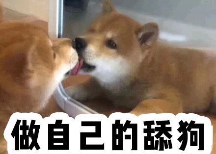 8支口红必买色号小唇釉,100-200价位显白好用口红