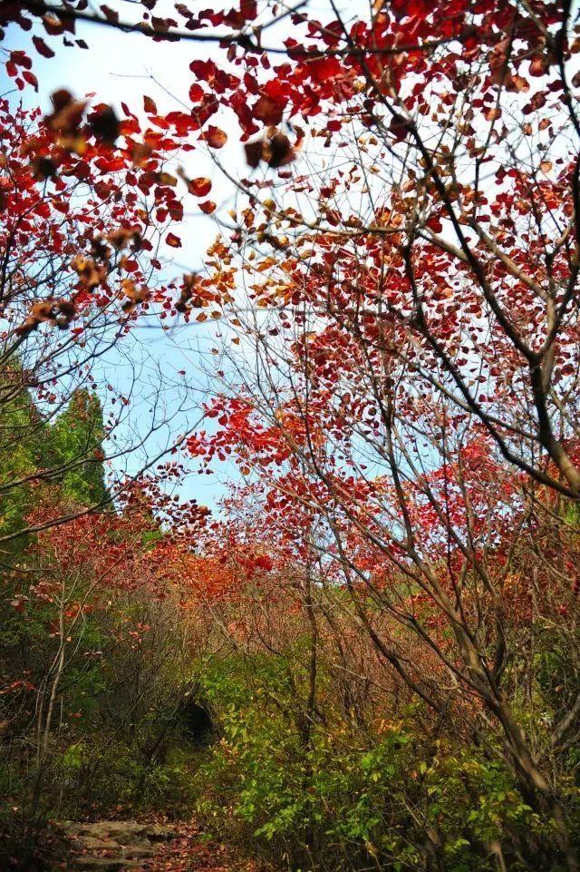济南旅游景点推荐带孩子玩,济南旅游景点推荐适合带孩子