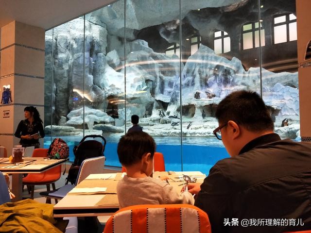 不带娃广州长隆野生动物园攻略,带孩子去广州长隆野生动物园攻略