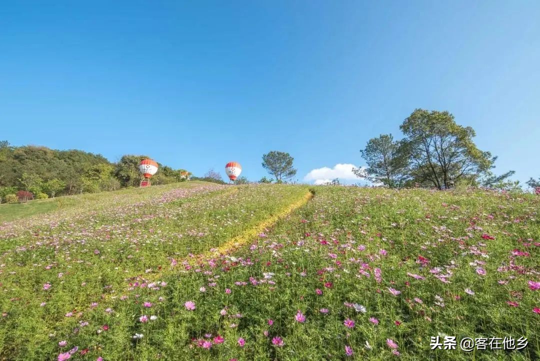 客家小镇客天下门票,客家小镇客天下