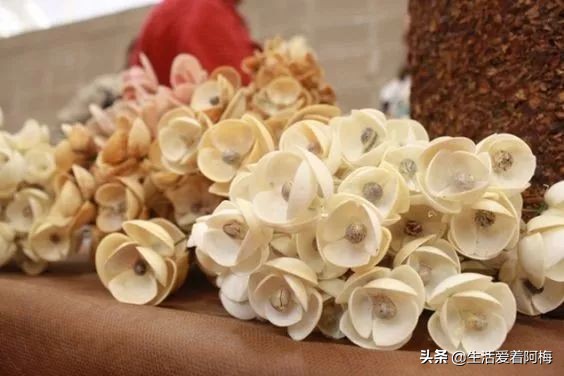 在贝壳里做上好看的装饰,简单的贝壳的工艺品