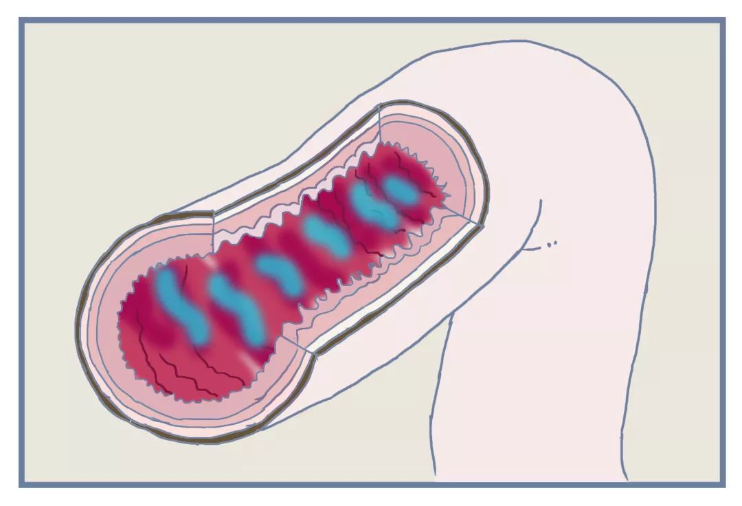 便秘在药店推荐的药品,大家都在用什么药治疗便秘