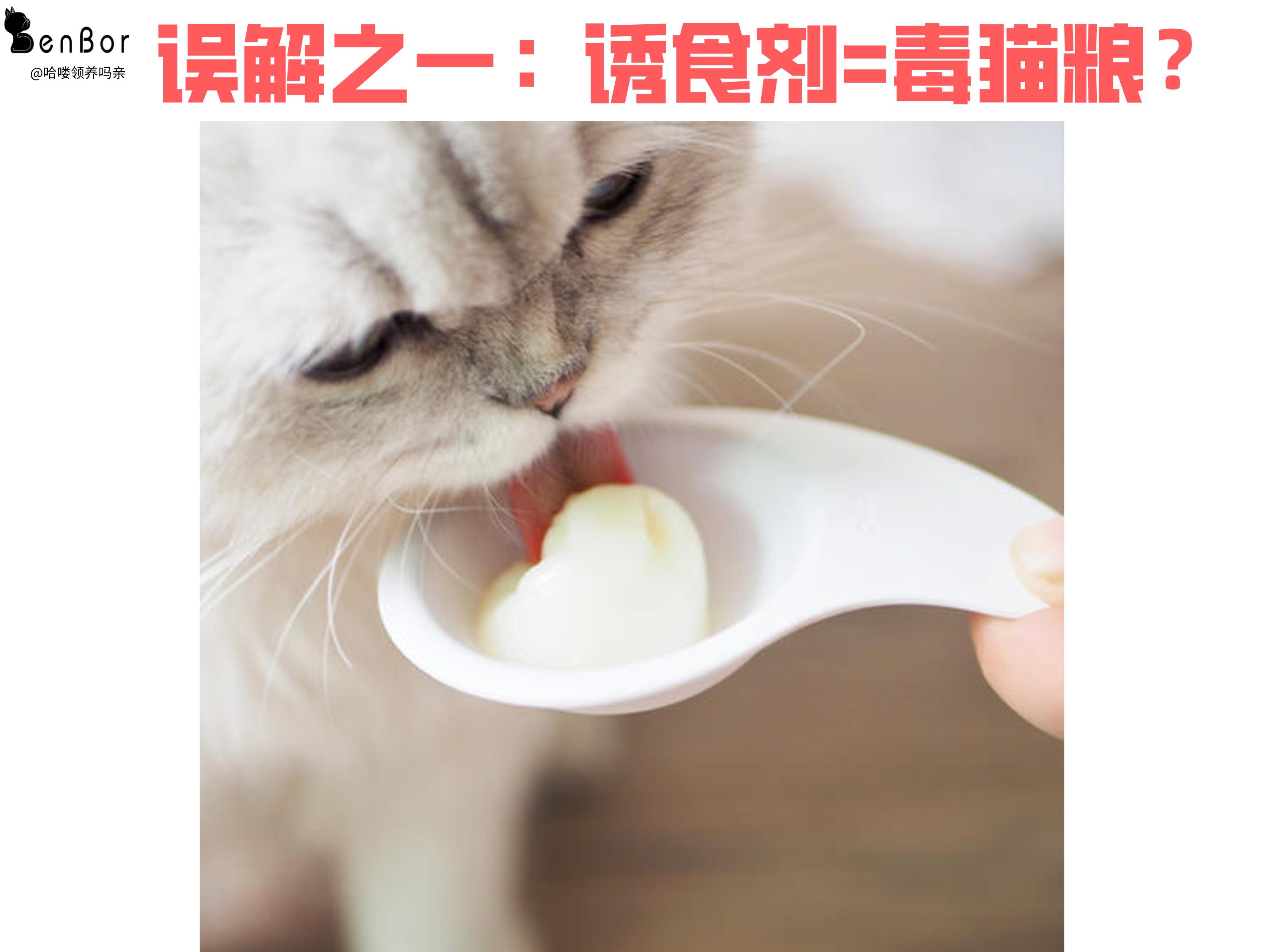 真正的良心猫粮,金装好主人猫粮是毒猫粮吗