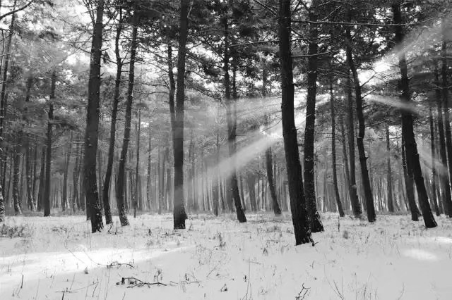 长春电影制片厂小白楼图片,长春电影制片厂老大楼