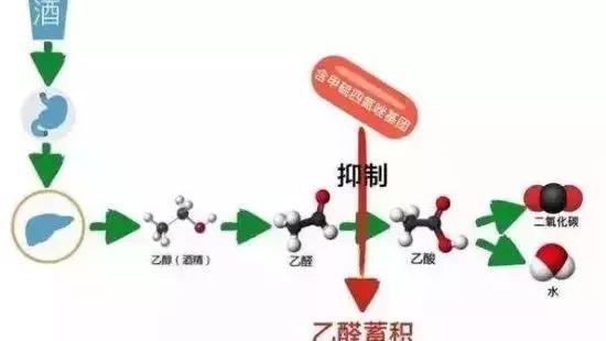 酒精抗生素中毒,酒精抗生素