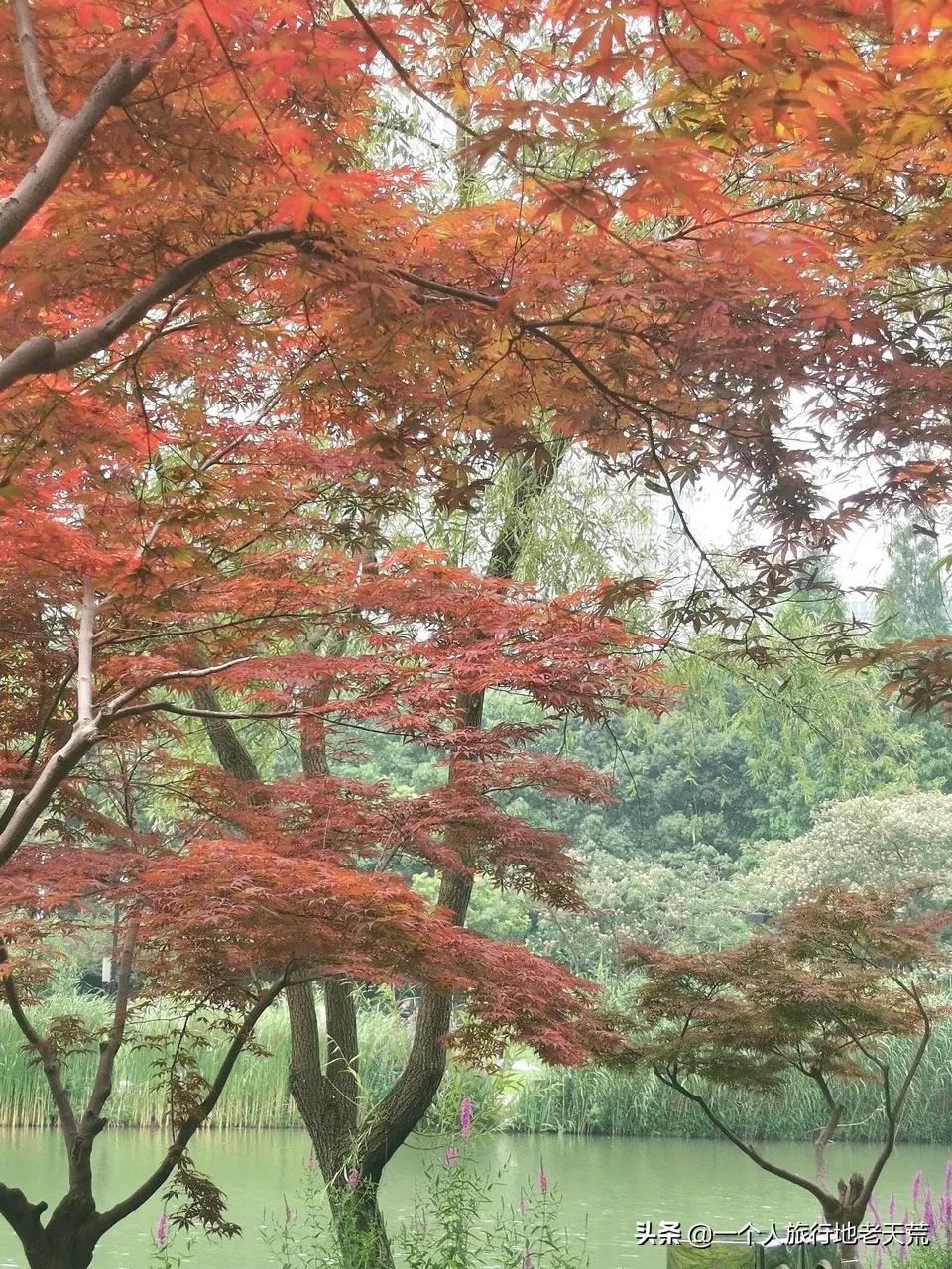 江苏这个“快乐”的城市，颜值不输苏杭，连苏东坡都在这养老