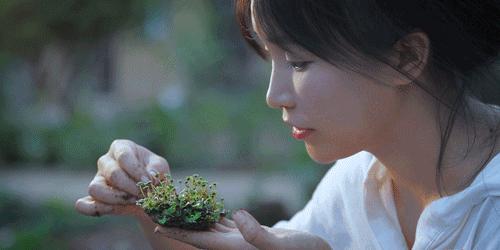 用废弃木床做书架,多功能流觞曲水桌