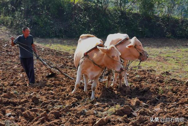 回忆离休干部父亲,回忆共产党员的父亲