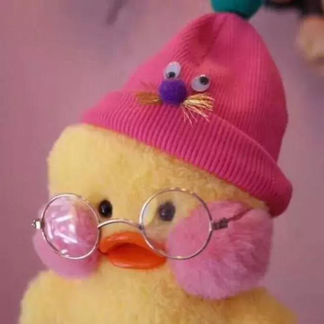 36张网红玻尿酸鸭头像图：遇见就好了，余生就算了