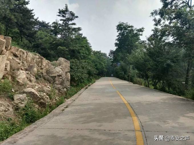 *安泰**高铁汽车站至徂徕山国家森林公园通公交车了！236路直达！