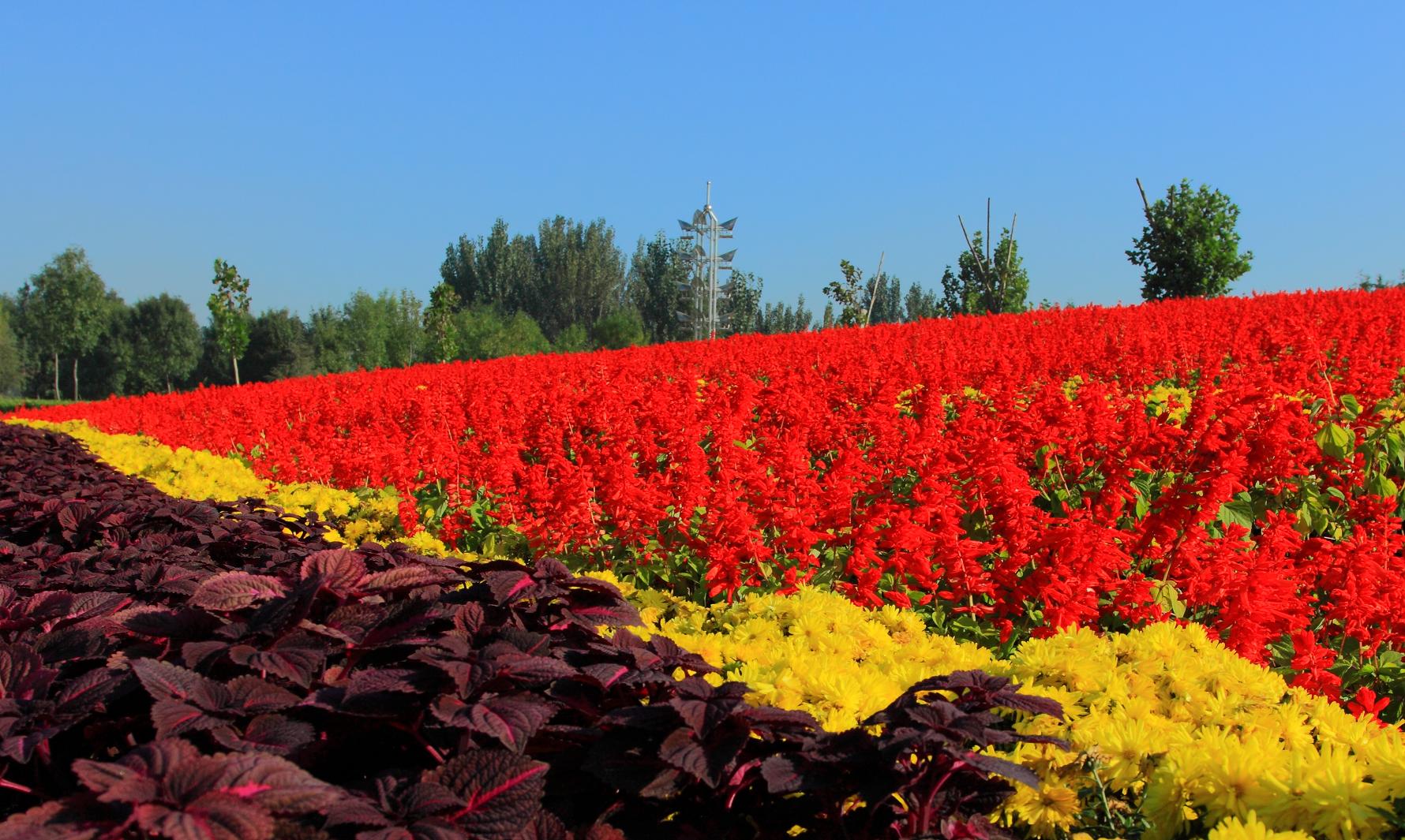 这些绝美的成语，都有一个唯美的出处！（建议收藏）