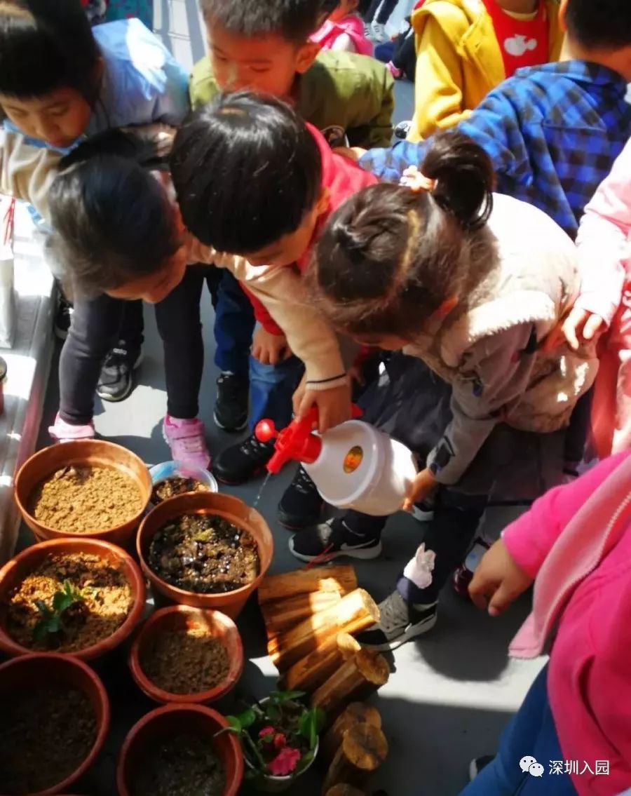 深圳福田幼儿园晚托机构,深圳公立幼儿园晚托班