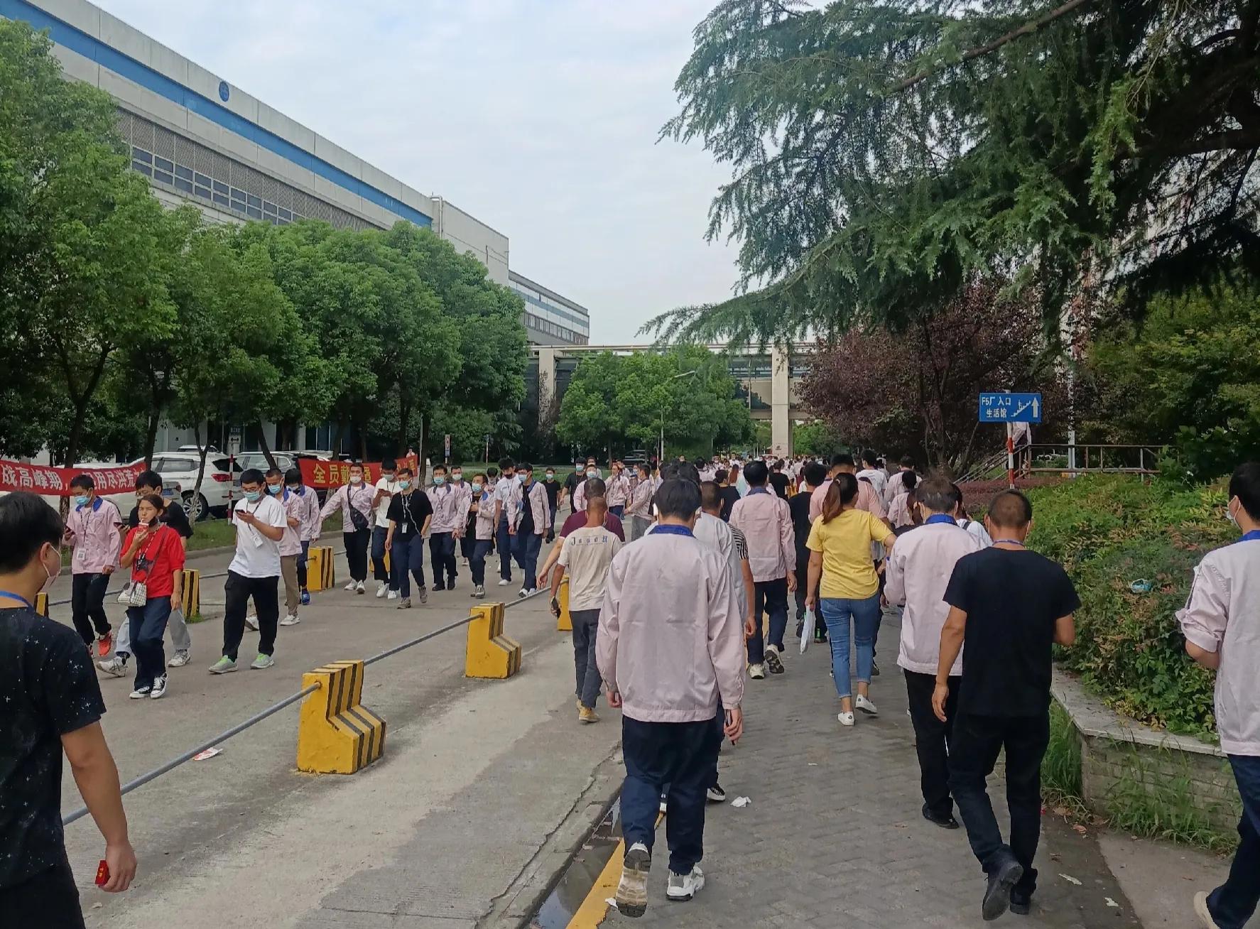 上海昌硕最近视频,上海昌硕挑战