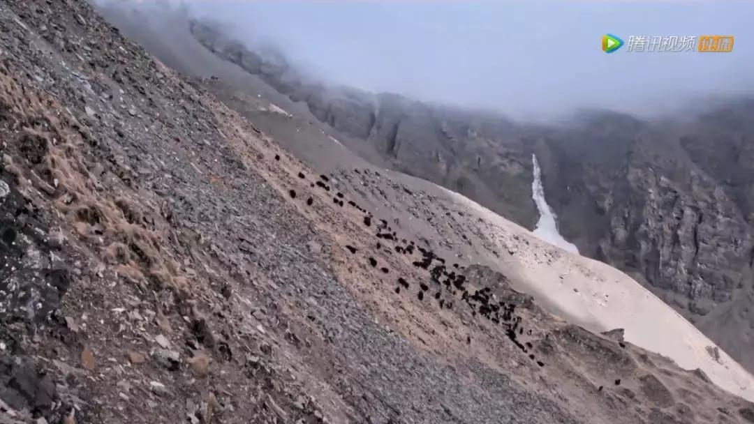 人在逆境要懂得坚持,面对逆境向阳而生