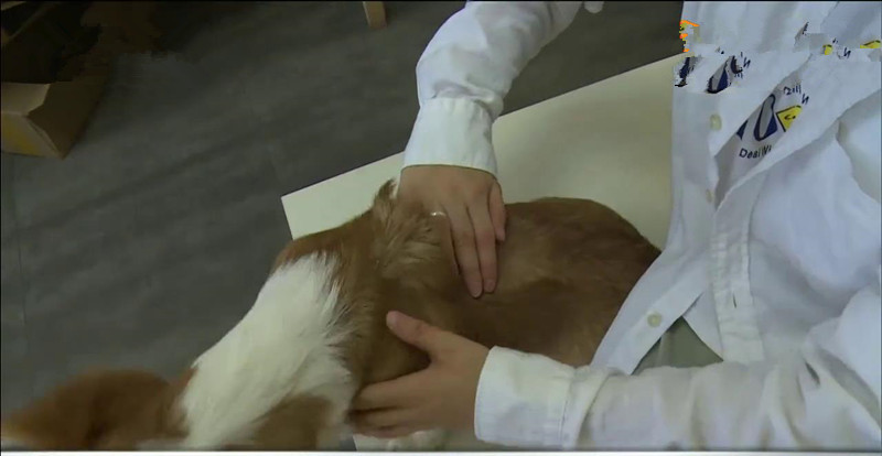 有没有可以祛除螨虫的产品,有没有什么除螨虫的用品