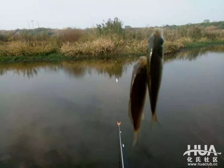 化氏不空军糊味,化氏不空军谁代工的